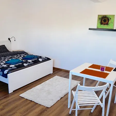 Studio Cismigiu Apartament